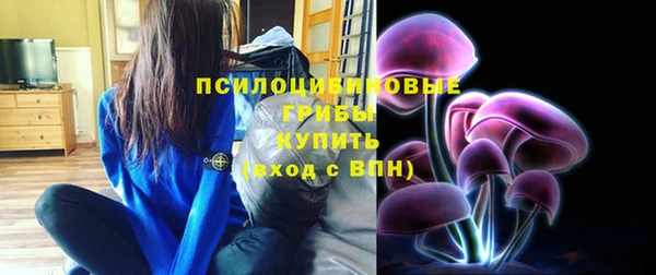 мдпв Балабаново